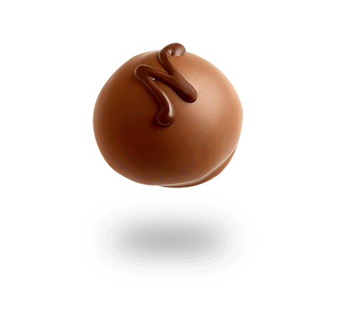 image without alt image without alt