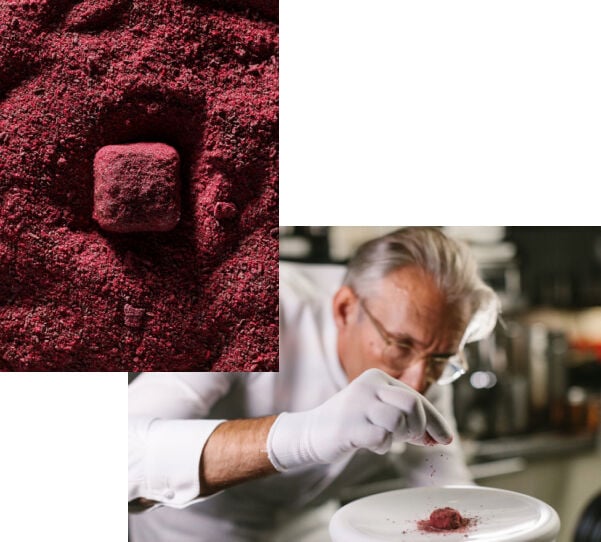 Neuhaus Chocolates Peter Goossens - Hof Van Cleve Neuhaus Chocolates Peter Goossens - Hof Van Cleve
