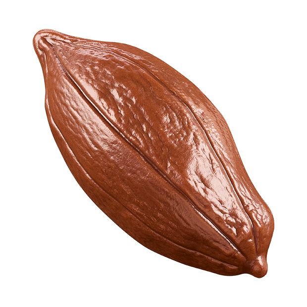 Neuhaus chocolates Criollo 45%