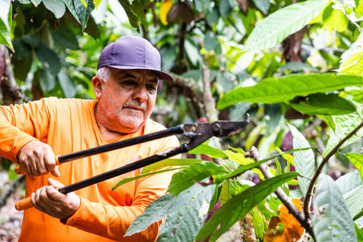 Neuhaus Chocolates Nurturing