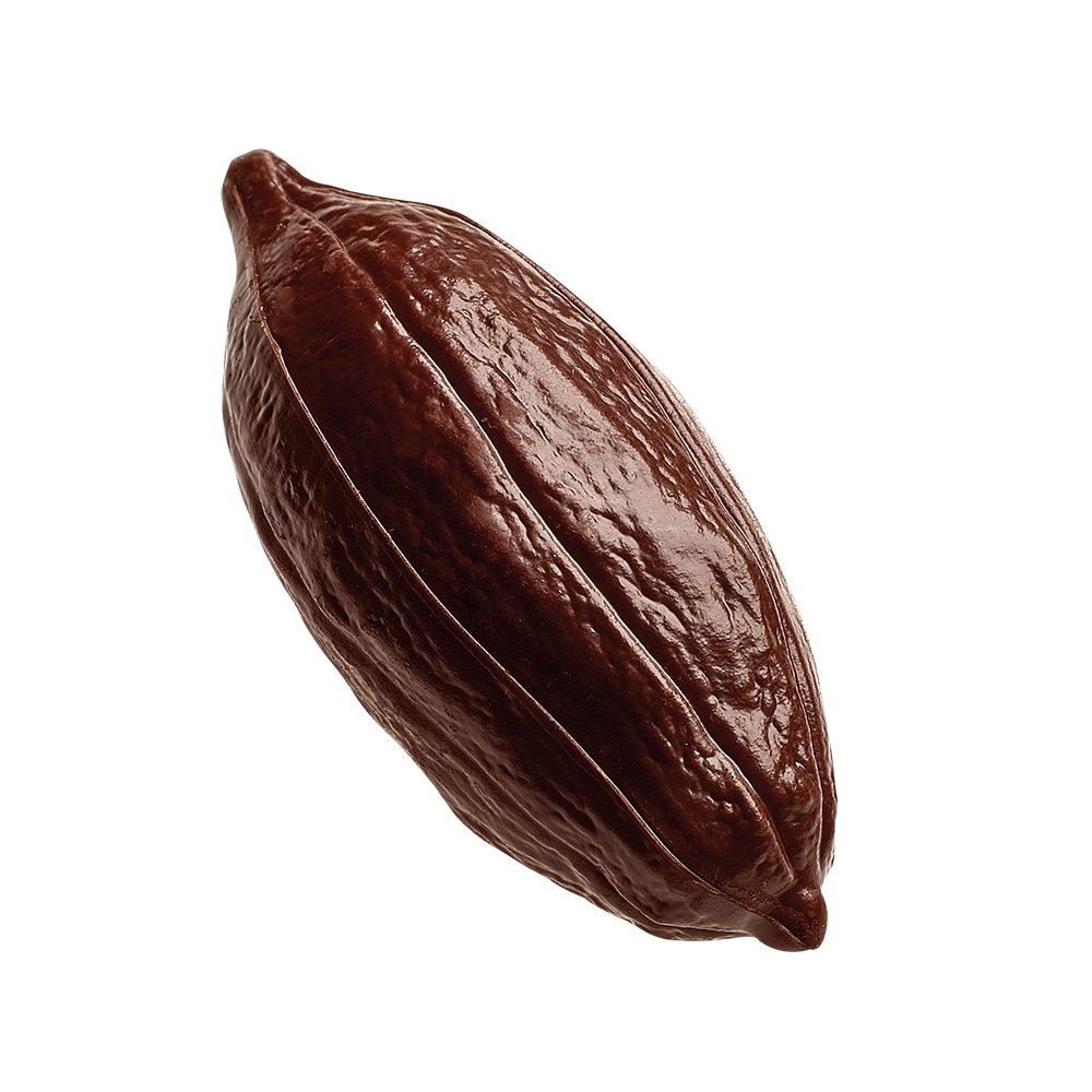 Neuhaus chocolates Criollo 80% Neuhaus chocolates Criollo 80%