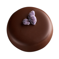 VIOLETTA