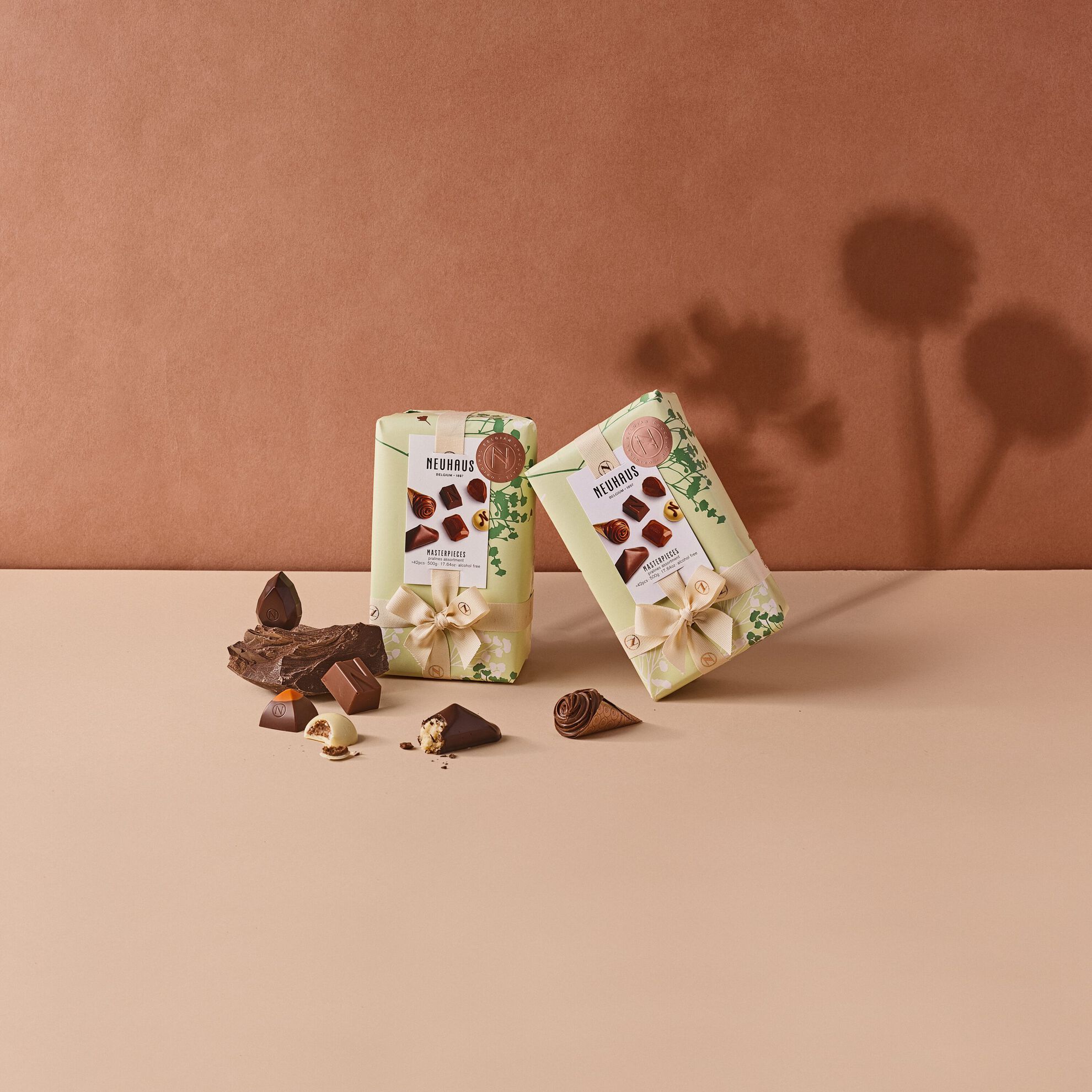 BALLOTIN TIMELESS MASTERPIECES P&Acirc;QUES 350 G image number 21