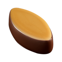 MILLÉSIMÉ POMME