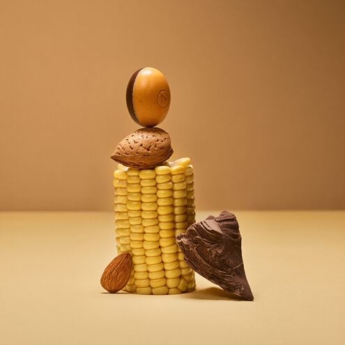 &Eacute;dition Limit&eacute;e Spring Voyage image number 51