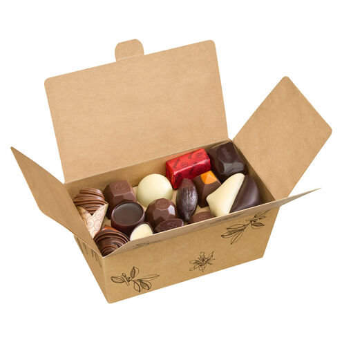 Planet Friendly Ballotin 500G image number 11