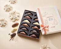 Celebration flowers Gift Box Irrésistibles Celebration flowers Gift Box Irrésistibles