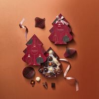 Weihnachtsbaum Box small