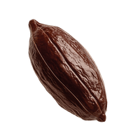 CRIOLLO 70% COCOA