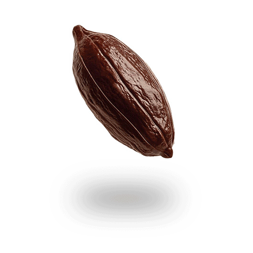 Neuhaus Chocolates Inventor Of The Belgian Praline