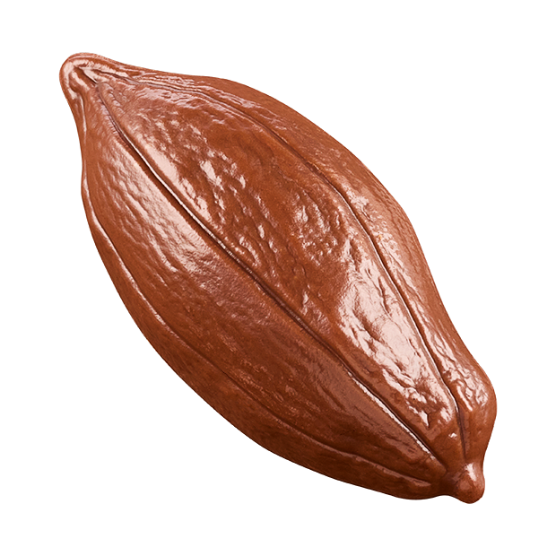 Neuhaus Chocolates Criollo