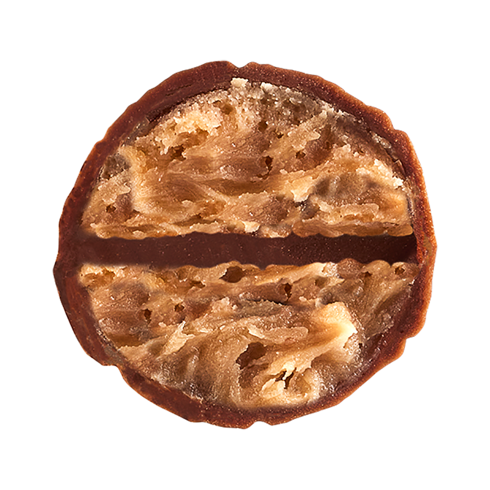Neuhaus Chocolates Criollo 45%
