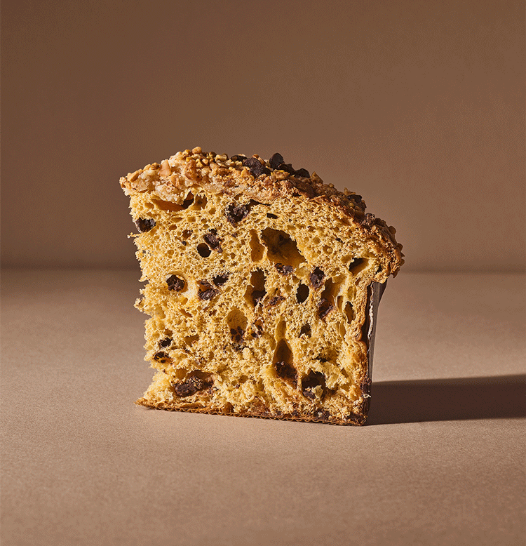 Panettone