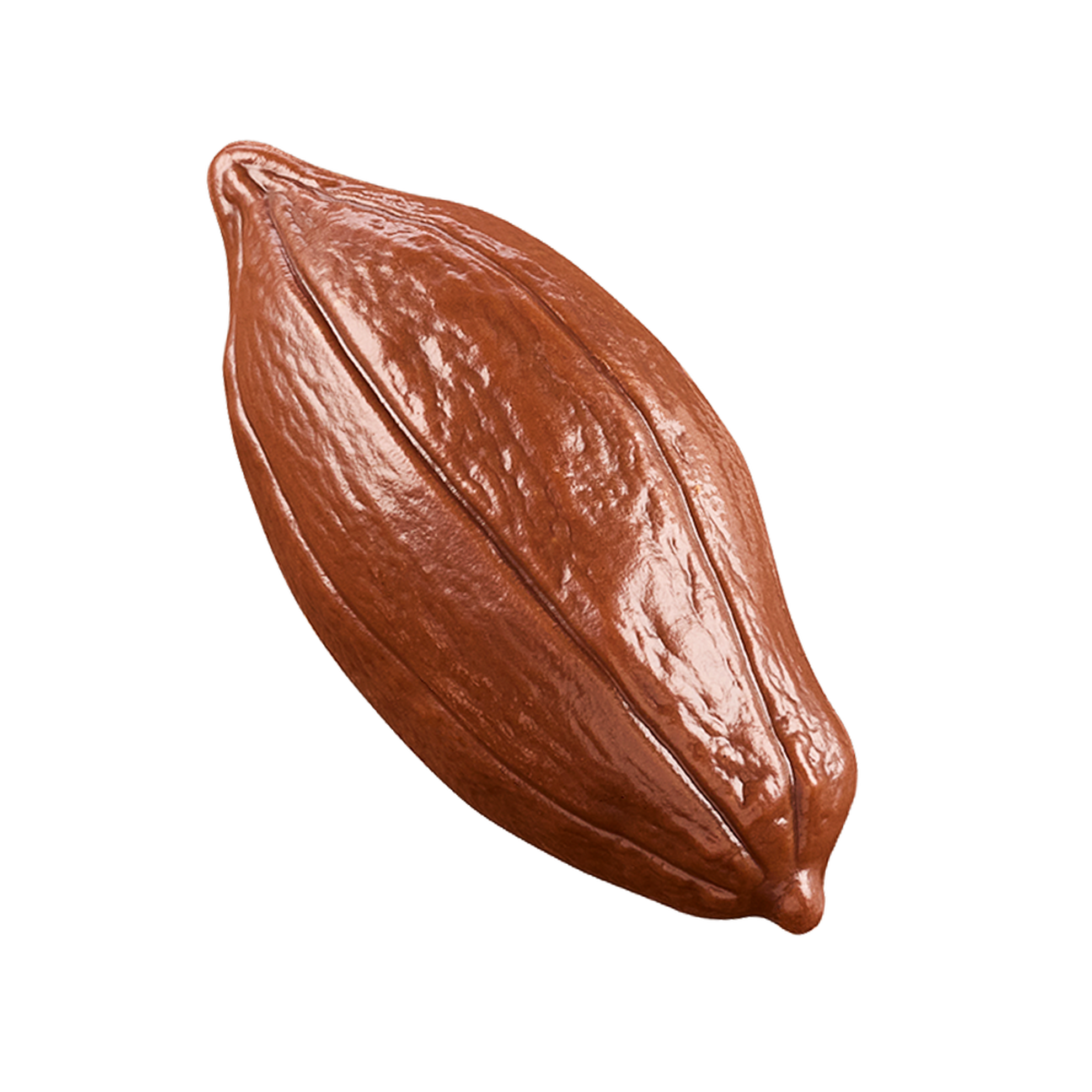 Criollo 45% image number 01
