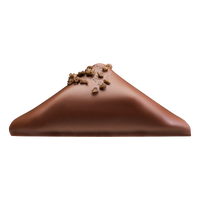 &Eacute;PICE