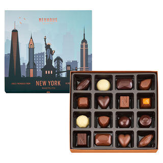 New York Souvenir Collection