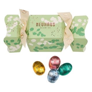 CRACKER DE P&Acirc;QUES