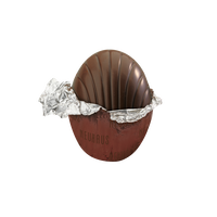 Br&eacute;silienne